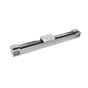 ONB-F Series Belt Driven Linear Module External LM Guide