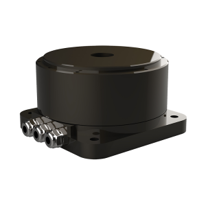 Direct-Drive Rotary Motor